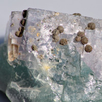 Fluorite w Pyrite spheres